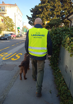 1fd5a7_a3dafd97b090422fba2eb3f436122ebf_mv2